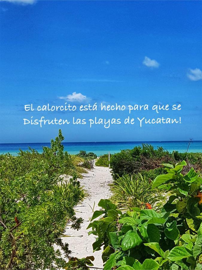Villa La Casa del Mangle Pueblo Pueblo Chicxulub Exterior foto